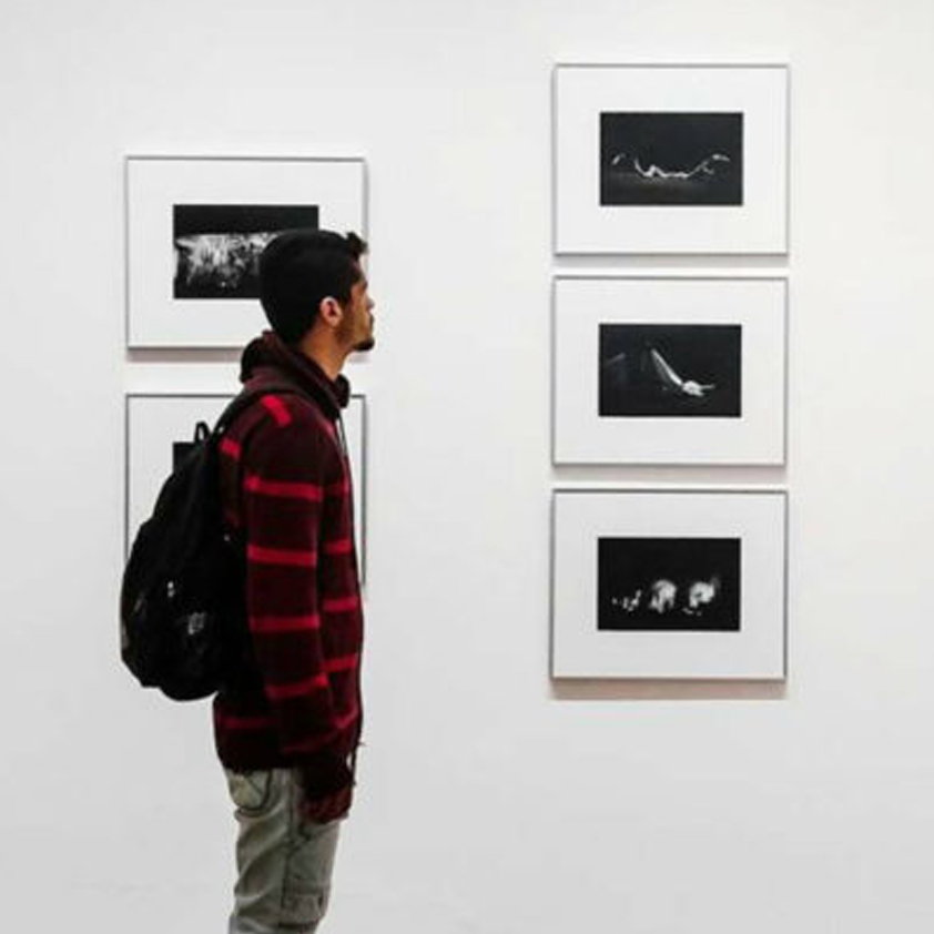 Image of a young adult looking at a series of three framed black and white close up images in an art gallery.