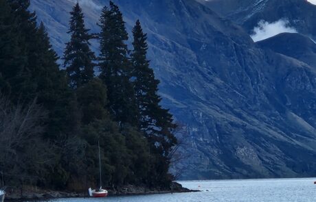 Image of a man padelling in a canoe with a dog.