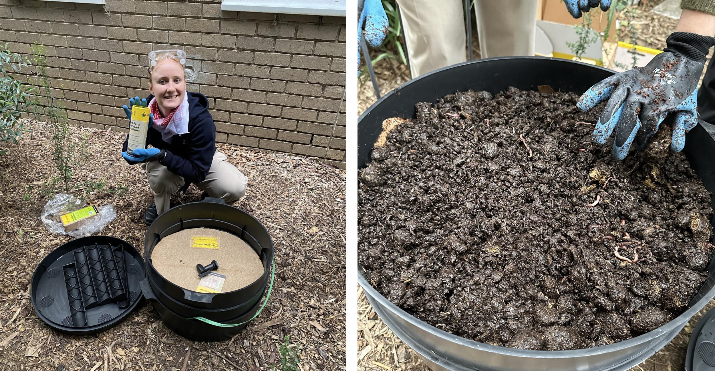 Image shows the before and after of a worm farm at the University of Melbourne.